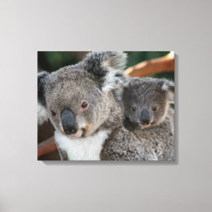 Cutest Baby Animals Koala and Joey Canvas Print