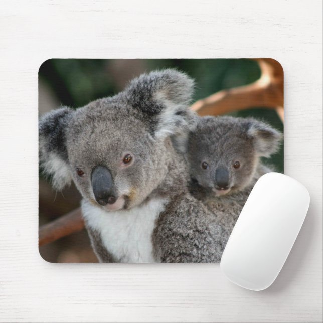 Cutest Baby Animals | Koala and Joey Mouse Mat (With Mouse)