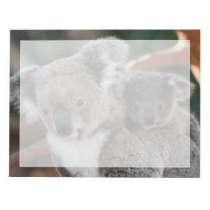 Cutest Baby Animals   Koala and Joey Notepad