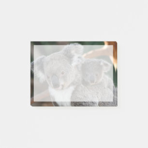 Cutest Baby Animals   Koala and Joey Post-it Notes