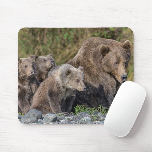 Cutest Baby Animals | Kodiak Mama Bear & Cubs Mouse Mat (With Mouse)