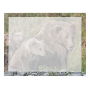Cutest Baby Animals Kodiak Mama Bear & Cubs Notepad