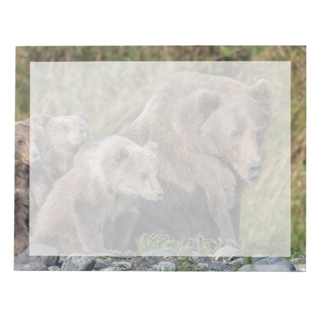 Cutest Baby Animals | Kodiak Mama Bear & Cubs Notepad (Front)