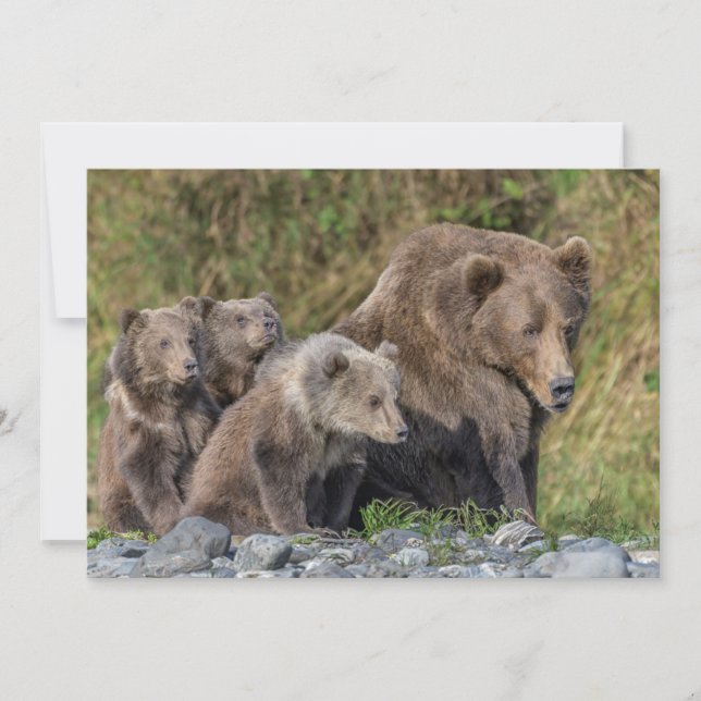 Cutest Baby Animals | Kodiak Mama Bear & Cubs Thank You Card (Front)