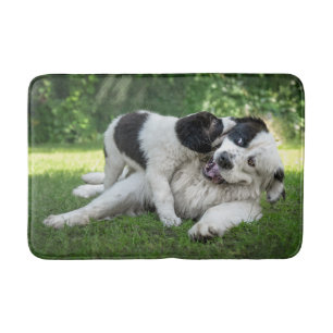 Cutest Baby Animals   Landseer Puppy Bath Mat