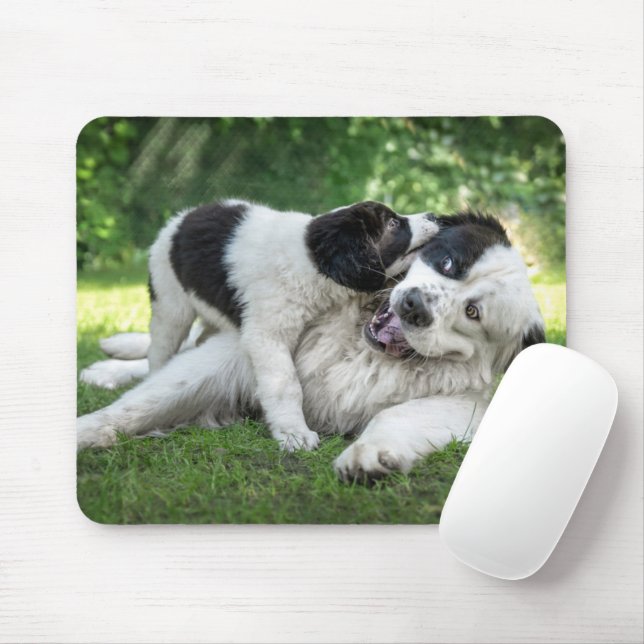Cutest Baby Animals | Landseer Puppy Mouse Mat (With Mouse)
