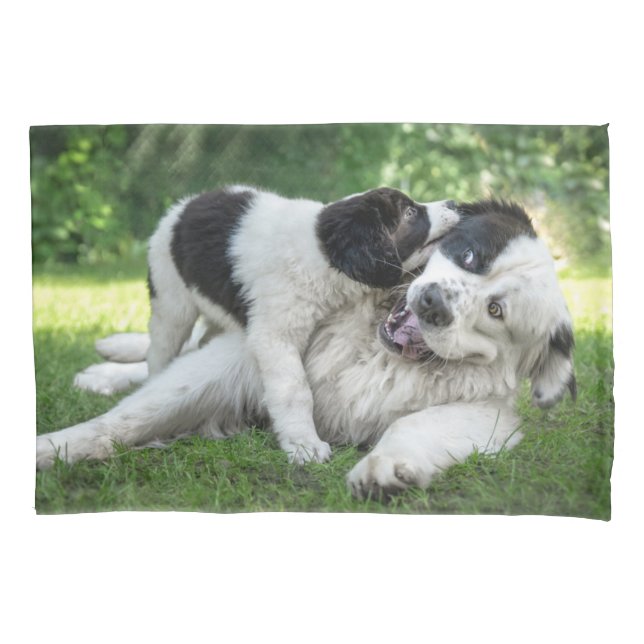 Cutest Baby Animals | Landseer Puppy Pillowcase (Front)