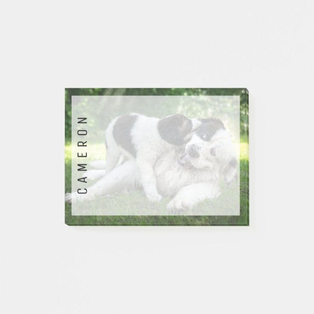 Cutest Baby Animals | Landseer Puppy Post-it Notes (Front)