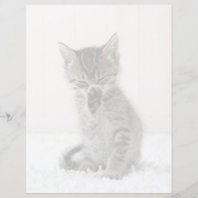 Cutest Baby Animals | Licking Tabby Kitten (Front)