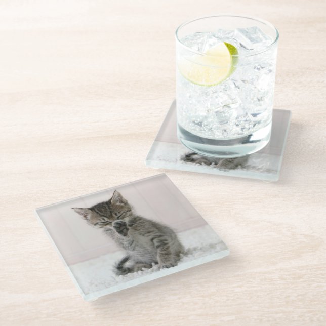 Cutest Baby Animals | Licking Tabby Kitten Glass Coaster (Angled)