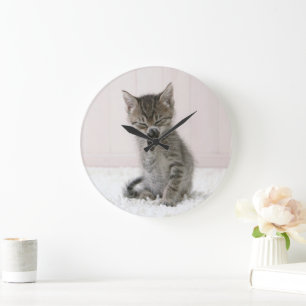 Cutest Baby Animals   Licking Tabby Kitten Large Clock