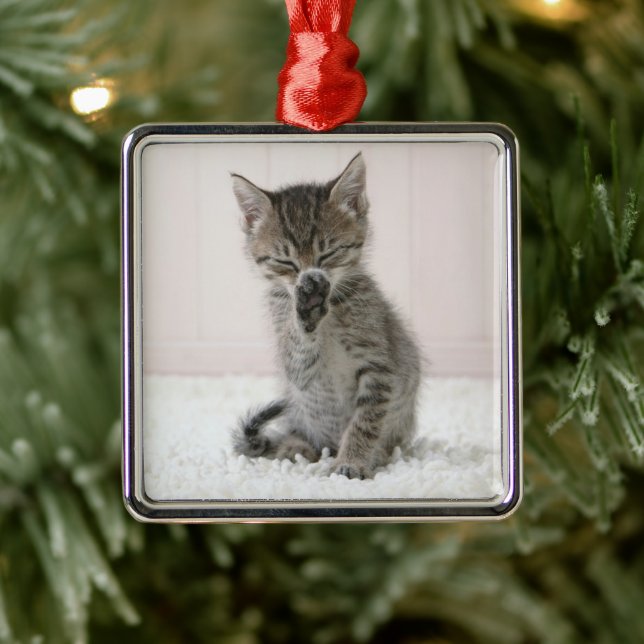 Cutest Baby Animals | Licking Tabby Kitten Metal Tree Decoration (Tree)