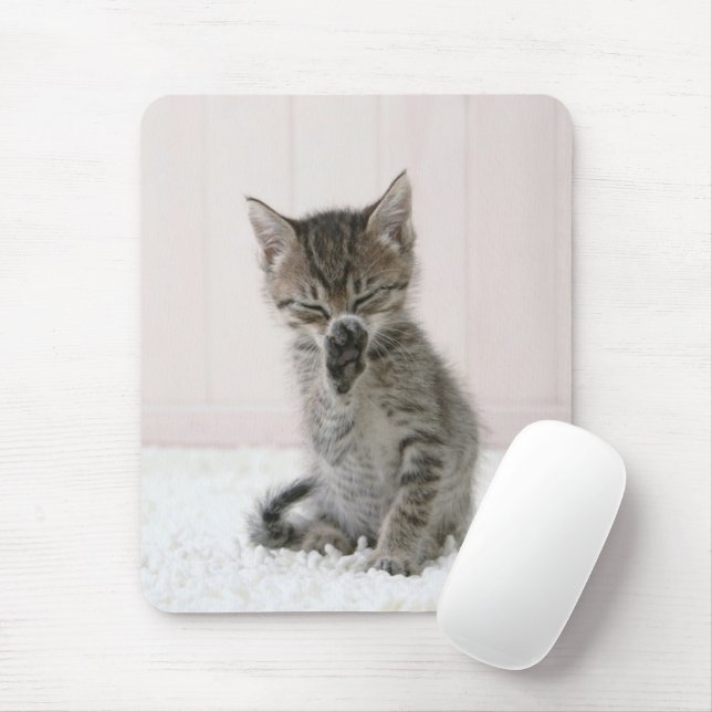 Cutest Baby Animals | Licking Tabby Kitten Mouse Mat (With Mouse)