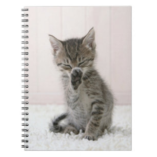 Cutest Baby Animals Licking Tabby Kitten Notebook