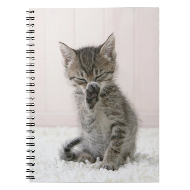 Cutest Baby Animals | Licking Tabby Kitten Notebook (Front)