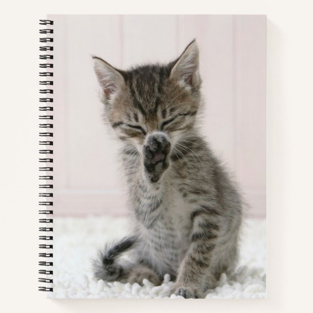 Cutest Baby Animals | Licking Tabby Kitten Notebook (Front)