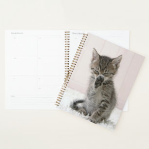 Cutest Baby Animals   Licking Tabby Kitten Planner