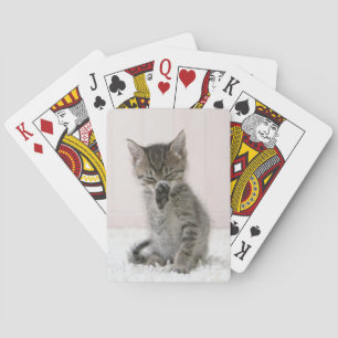 Cutest Baby Animals Licking Tabby Kitten Playing Cards