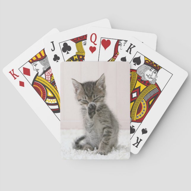 Cutest Baby Animals | Licking Tabby Kitten Playing Cards (Back)