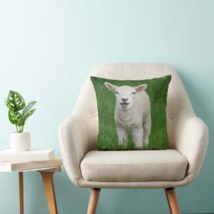 Cutest Baby Animals Lil Lamb Cushion