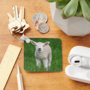 Cutest Baby Animals   Lil Lamb Key Ring