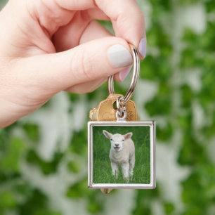 Cutest Baby Animals Lil Lamb Key Ring