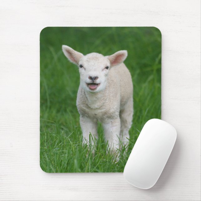 Cutest Baby Animals | Lil Lamb Mouse Mat (With Mouse)