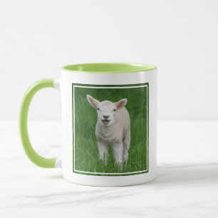 Cutest Baby Animals   Lil Lamb Mug