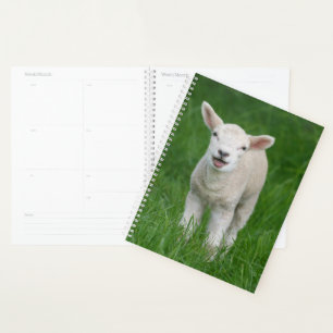 Cutest Baby Animals Lil Lamb Planner