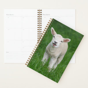 Cutest Baby Animals Lil Lamb Planner