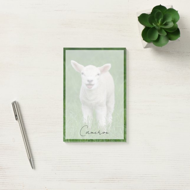 Cutest Baby Animals | Lil Lamb Post-it Notes (Office)