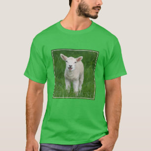 Cutest Baby Animals Lil Lamb T-Shirt