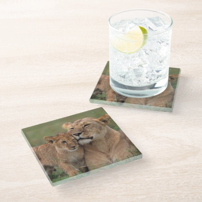 Cutest Baby Animals | Lion Cub & Mother Glass Coaster (Angled)