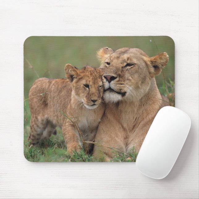 Cutest Baby Animals | Lion Cub & Mother Mouse Mat (With Mouse)