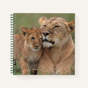 Cutest Baby Animals Lion Cub & Mother Notebook
