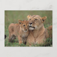 Cutest Baby Animals | Lion Cub & Mother