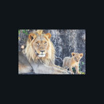 Cutest Baby Animals | Lion Dad & Cub Canvas Print<br><div class="desc">This Getty Cutest Baby Animals photo features a lion dad and his cub.</div>
