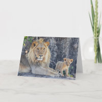 Cutest Baby Animals | Lion Dad & Cub