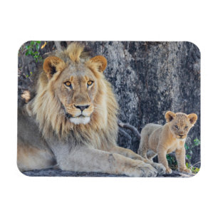 Cutest Baby Animals Lion Dad & Cub Magnet