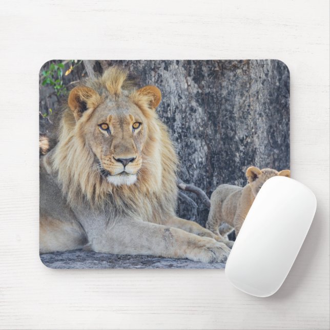 Cutest Baby Animals | Lion Dad & Cub Mouse Mat (With Mouse)