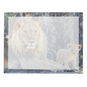 Cutest Baby Animals   Lion Dad & Cub Notepad