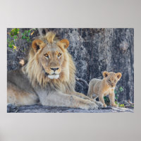 Cutest Baby Animals | Lion Dad & Cub