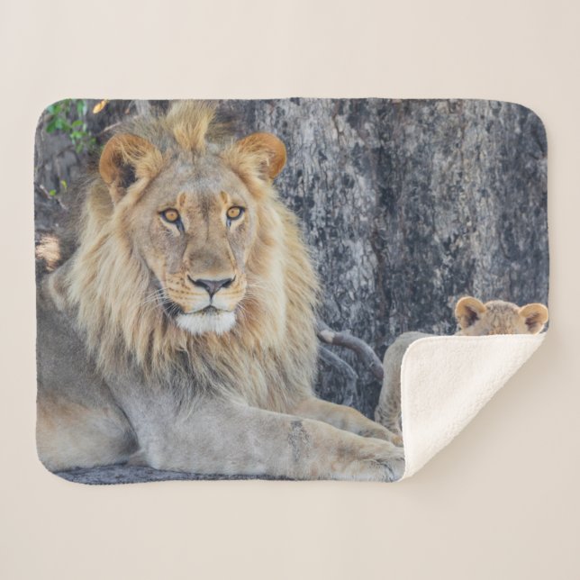 Cutest Baby Animals | Lion Dad & Cub Sherpa Blanket (Front (Horizontal))
