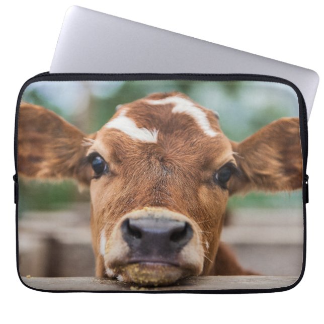 Cutest Baby Animals | Little Cow Calf Laptop Sleeve (Front)