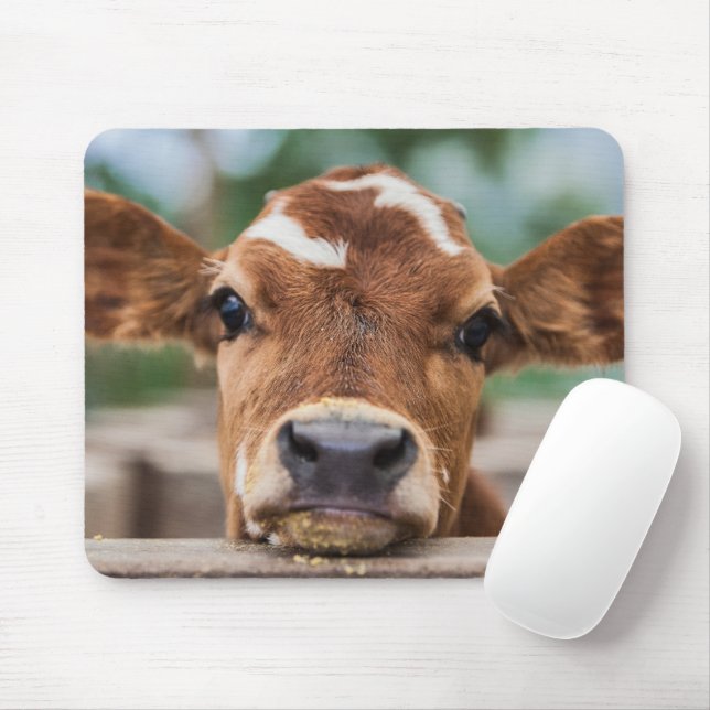 Cutest Baby Animals | Little Cow Calf Mouse Mat (With Mouse)