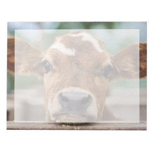 Cutest Baby Animals   Little Cow Calf Notepad