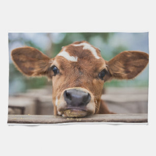 Cutest Baby Animals   Little Cow Calf Tea Towel