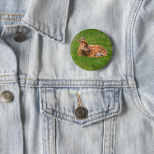 Cutest Baby Animals Little Fawn 6 Cm Round Badge