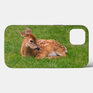 Cutest Baby Animals   Little Fawn iPhone 13 Case
