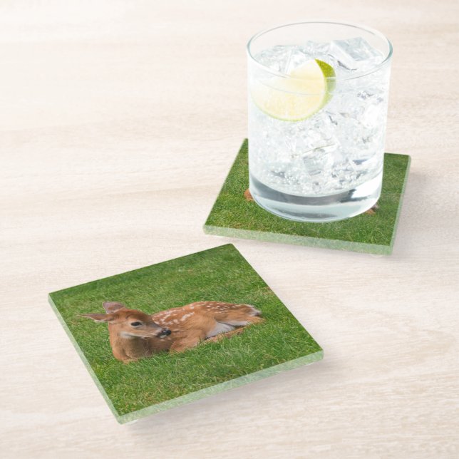 Cutest Baby Animals | Little Fawn Glass Coaster (Angled)